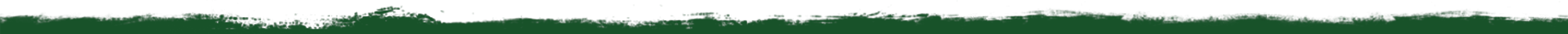 topnav